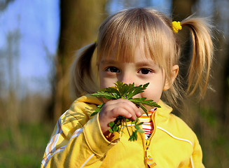 Image showing Little girl and wild flowers