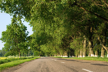 Image showing Road