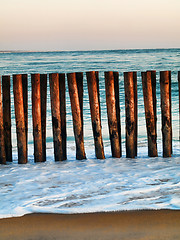 Image showing Beach  shore