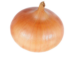 Image showing onion