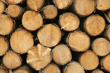 Image showing pile of wood logs