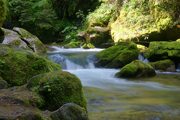 Image showing Mountain stream