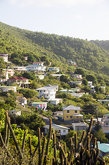 Image showing residential neighborhood on mountain bequia st. vincent
