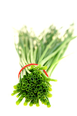 Image showing Fresh green chive