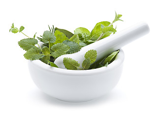 Image showing Herbs