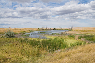 Image showing Pond