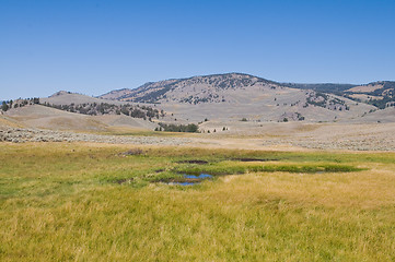 Image showing Colorful meadow