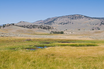 Image showing Colorful meadow