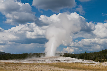 Image showing Old Faithful