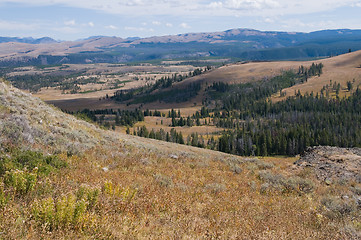 Image showing Alpine meadow