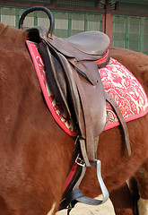 Image showing Saddle up