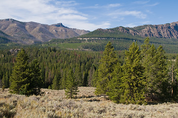 Image showing Woods & mountains
