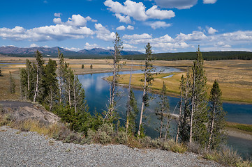 Image showing Yellowstone River