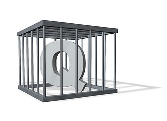 Image showing big Q in a cage