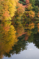 Image showing Connecticut Autumn Foliage