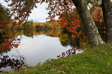 Image showing New England Foliage