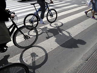 Image showing Cyclists