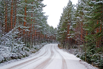 Image showing Forest Road In Winter