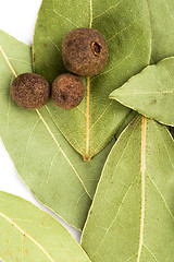 Image showing bay leaves and black pepper