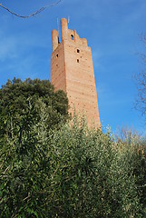 Image showing Torre di Federico II ,San Miniato