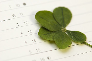 Image showing Five Leaf Clover and 13 Friday