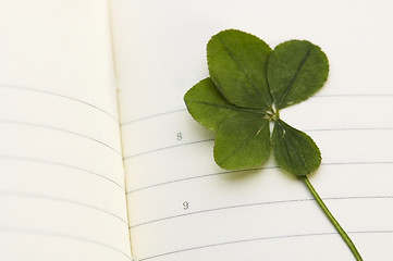 Image showing Five Leaf Clover and New Day.