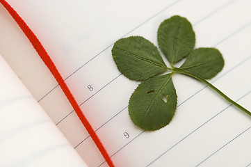 Image showing Four Leaf Clover and New Day.