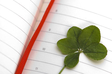 Image showing Five Leaf Clover and New Day.