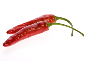 Image showing Two red peppers isolated on white.