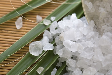 Image showing bath salt and palm leaf