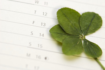 Image showing Five Leaf Clover and 13 Friday