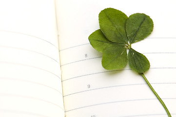 Image showing Five Leaf Clover and New Day.