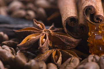 Image showing aroma coffe. ingredients. coffe beens, anise, vanilla, cinnamon,