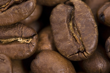 Image showing coffe beans