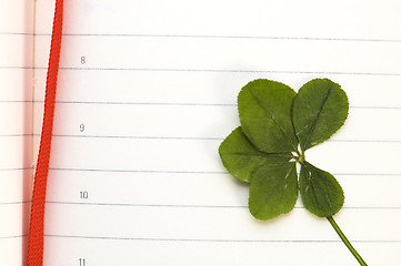 Image showing Four Leaf Clover and New Day