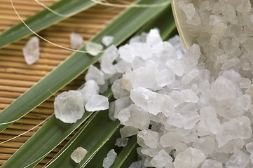 Image showing bath salt and palm leaf