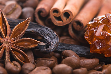 Image showing aroma coffe. ingredients. coffe beens, anise, vanilla, cinnamon,