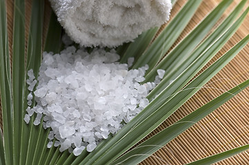 Image showing bath salt and palm leaf