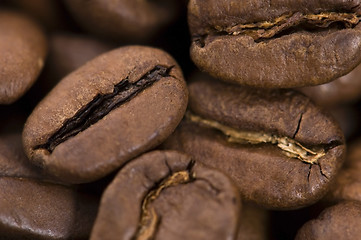 Image showing coffe beans
