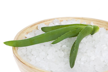 Image showing bath salt and aloe vera