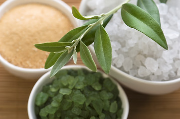 Image showing fresh olive branch and bath salt. spa