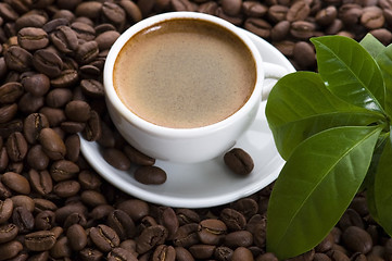 Image showing fresh coffee with coffee branch