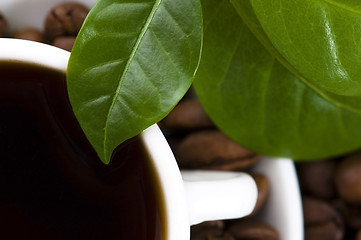 Image showing fresh coffee with coffee branch