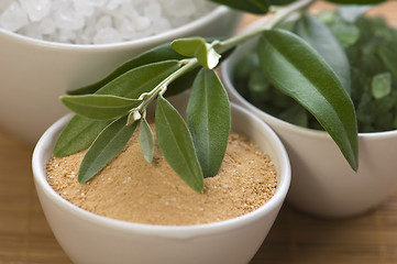 Image showing fresh olive branch and bath salt. spa