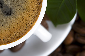 Image showing fresh coffee with coffee branch