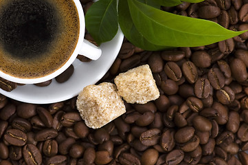 Image showing fresh coffee with coffee branch