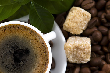 Image showing fresh coffee with coffee branch