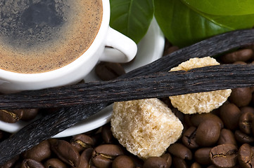 Image showing aroma coffee with vanilla and coffee branch