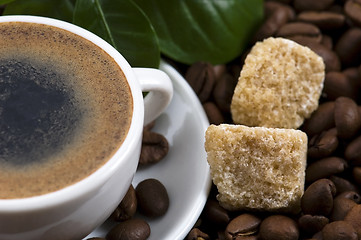 Image showing fresh coffee with coffee branch