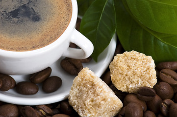 Image showing fresh coffee with coffee branch